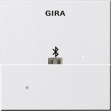 Лицевая панель USB Mikro-B Gira System 55 для вставки док-станции чисто-белый шелковисто-матовый 228503