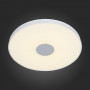 Накладной светильник Semplicita SL473.552.01