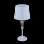 Настольная лампа декоративная Alessa FR2984-TL-01-W