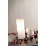 Настольная лампа декоративная Paulmann Noora 77010