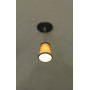 Светильник подвесной FOSSOMBRONE LSL-2306-01