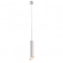 Подвесной светильник Arte Lamp Pilon-Silver A1536SP-1WH